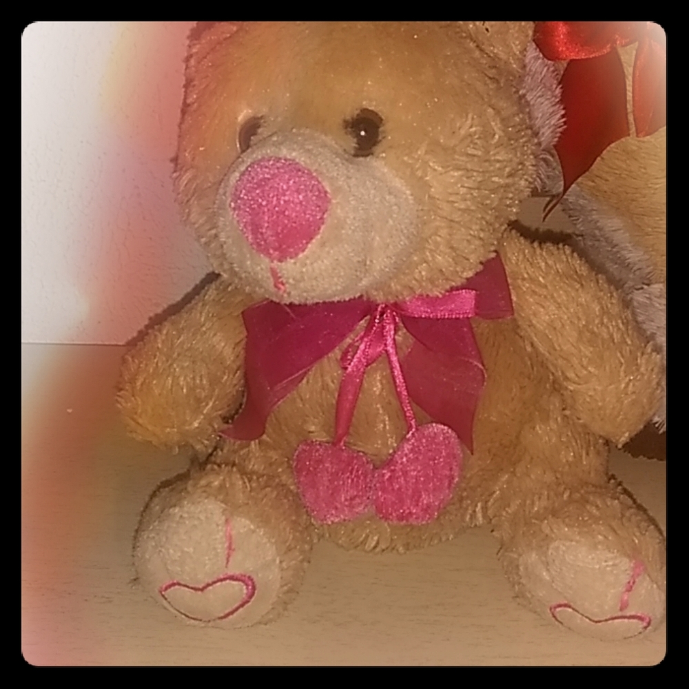 Bears